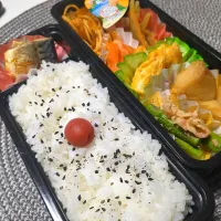 3月19日お弁当|鈴木さとしさん