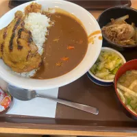 ほろほろチキンカレー|takashiwagaさん