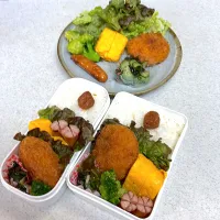 2025年3月19日お弁当🍱|もぐぷーさん