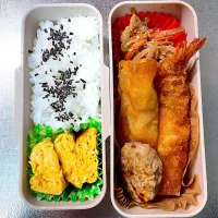 エビフライ春巻き弁当|あおのりさん