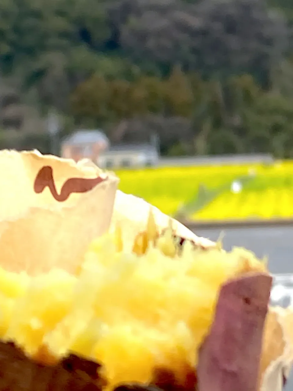 菜の花畑で焼き芋🍠|さくたえさん