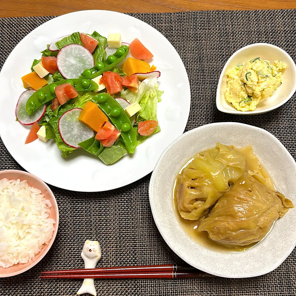 ロールキャベツ、野菜いろいろサラダ、作りおきポテトサラダ|柚子きりかさん