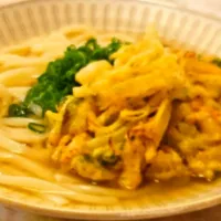 #かき揚げうどん|金井義則さん