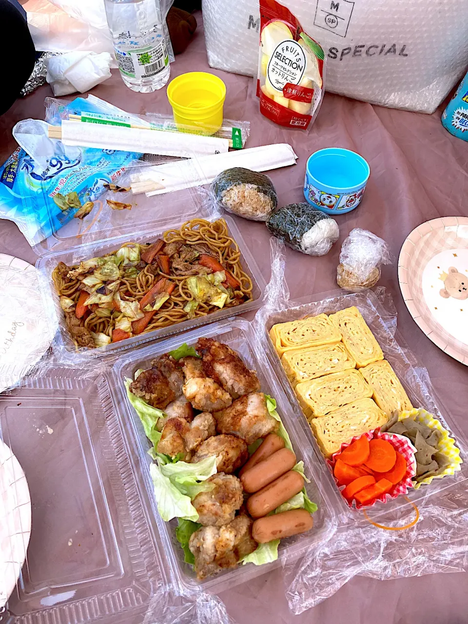 最終日のピクニックお弁当♡妹の手料理|さくたえさん