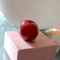 小さなリンゴ
Chīsana ringo #VERY TINY APPLE #ringo #chisanaringo PETITE POMME #🍎|LNAさん
