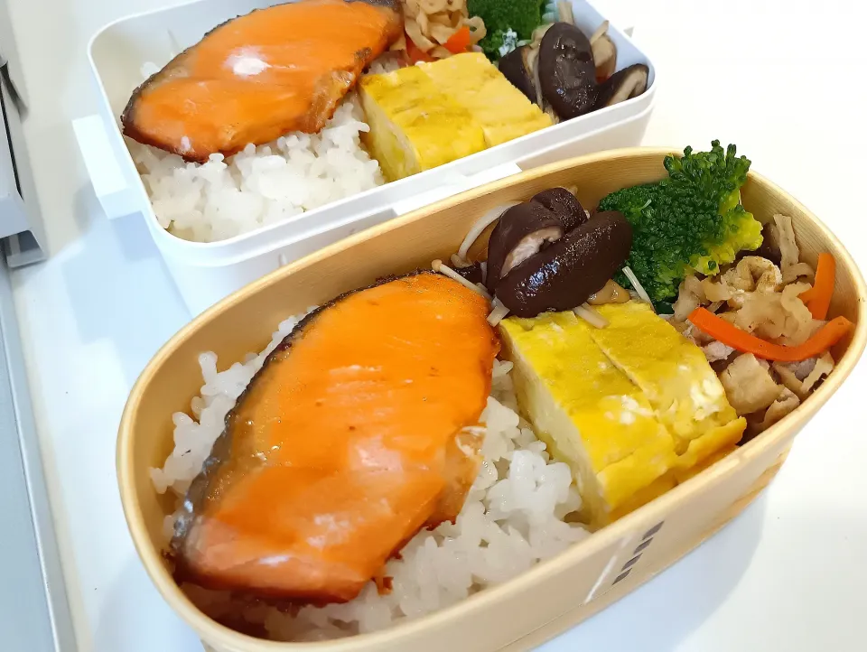 鮭弁当|みんさん