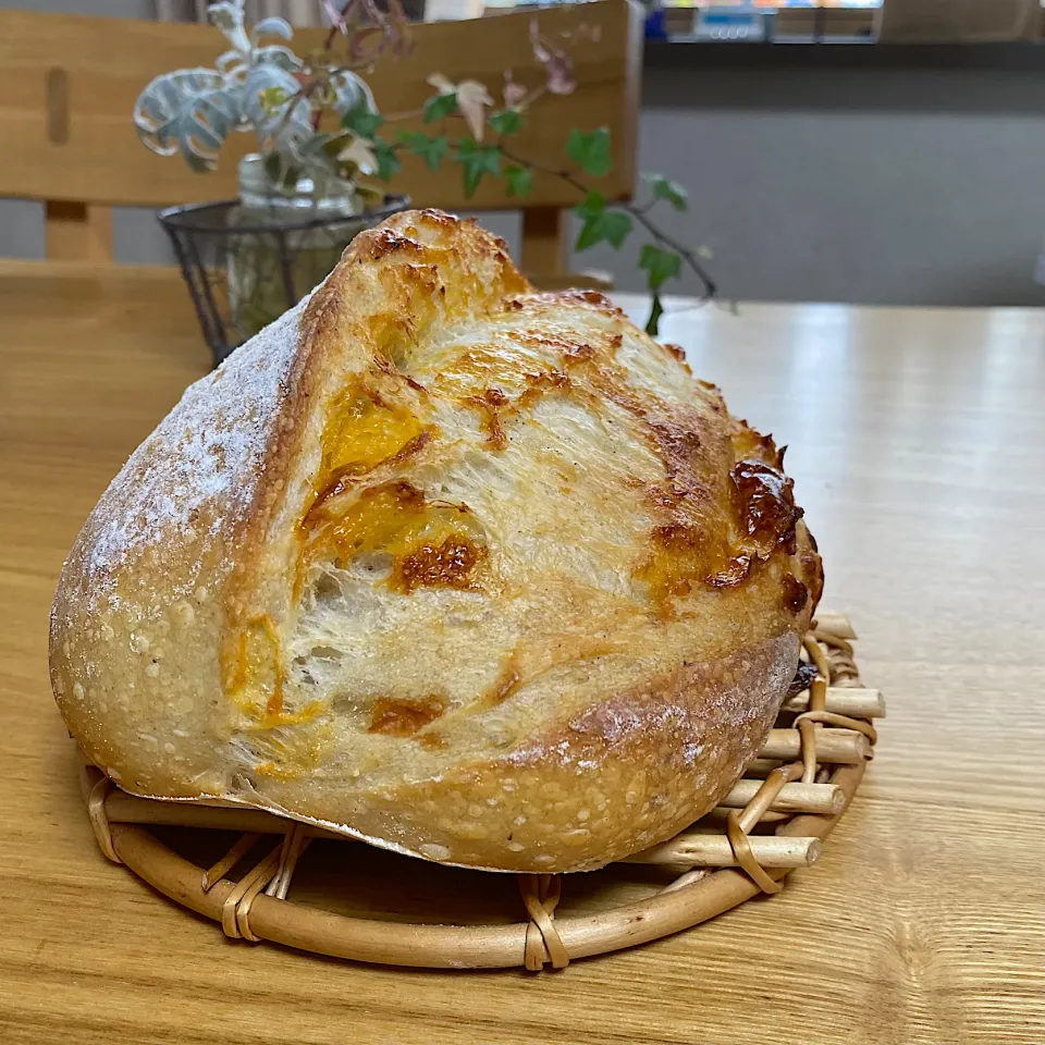チェダーチーズと完熟赤胡椒のカンパーニュ|sakurakoさん