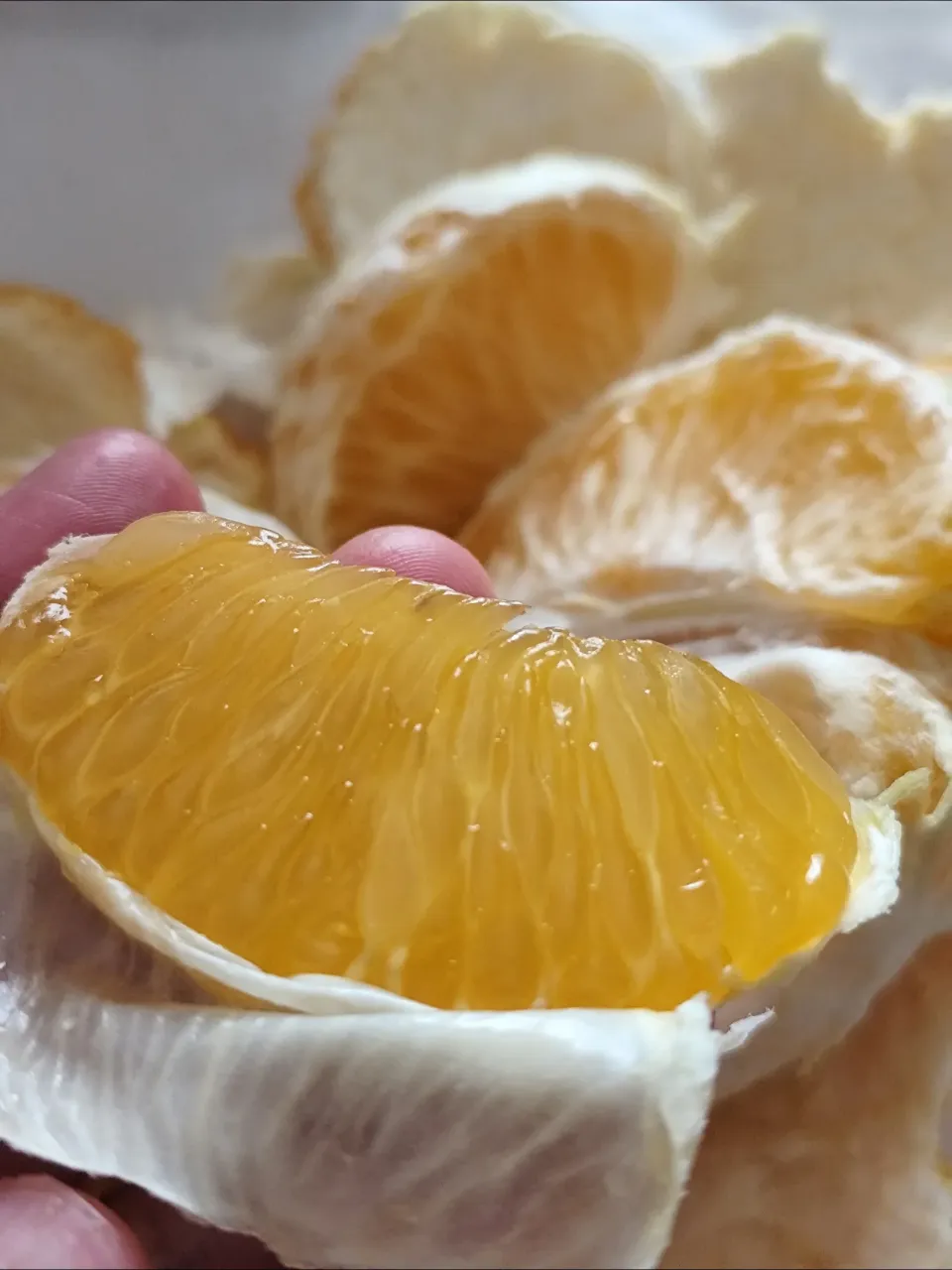 八朔、久しぶり食べました!|m.rafuさん