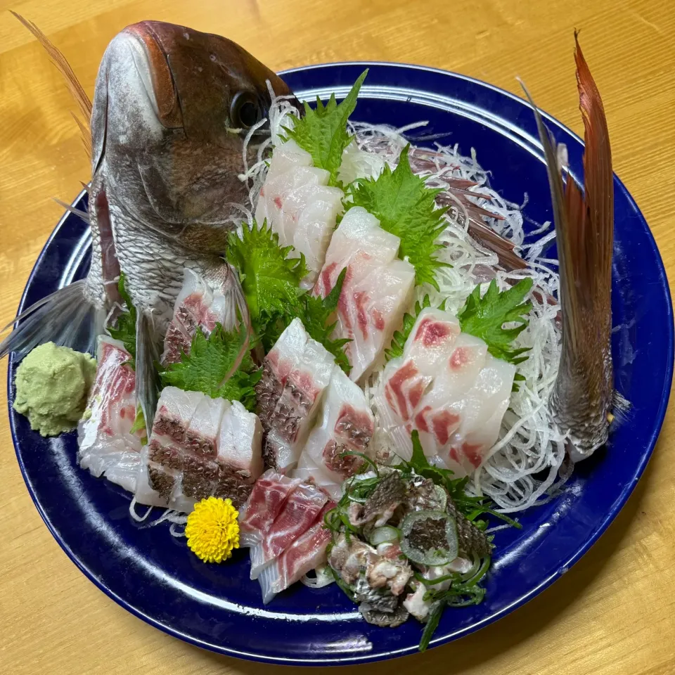 真鯛の造り|タマ三郎さん