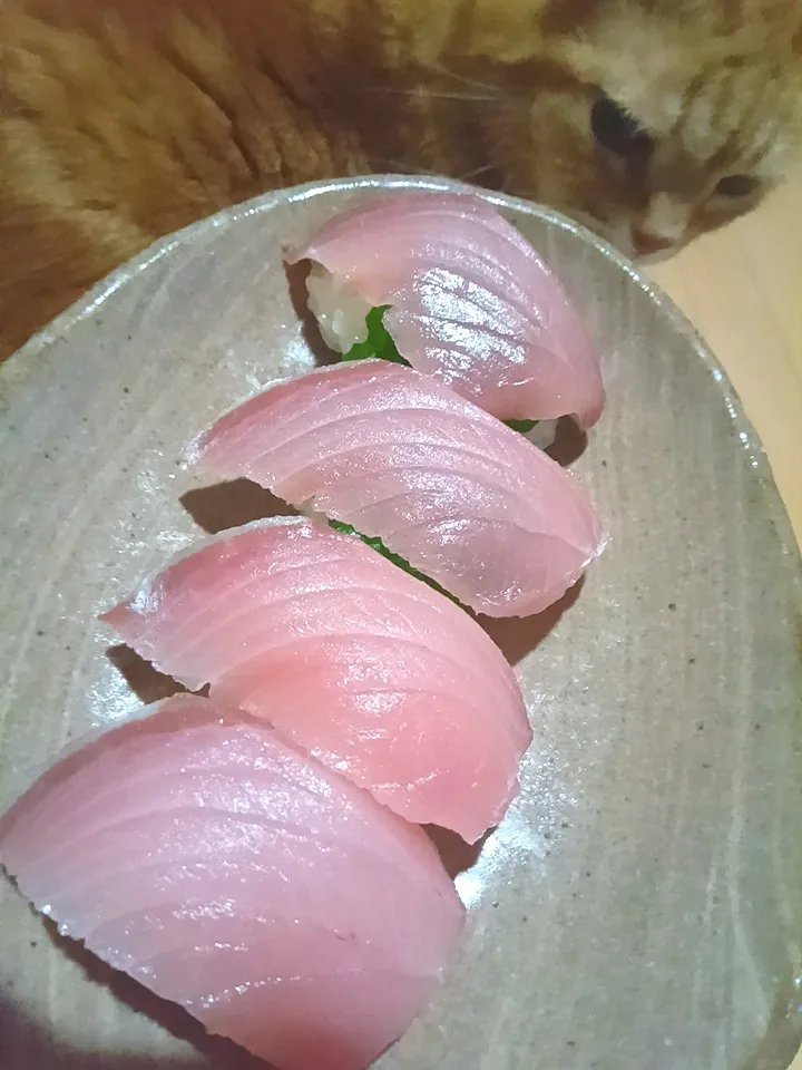 ブリのお寿司🐟️|さくらんぼさん