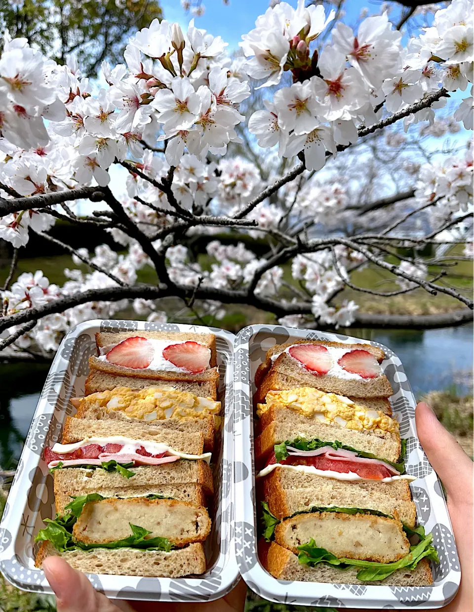 お花見サンドイッチ🌸|＊みお＊さん