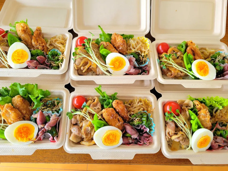 お花見弁当🌸|まめすけさん