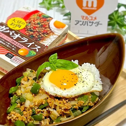 「大豆のお肉　ガパオライスの素」を使ってみたSnapdishの料理・レシピ写真:大豆のお肉でガパオライス