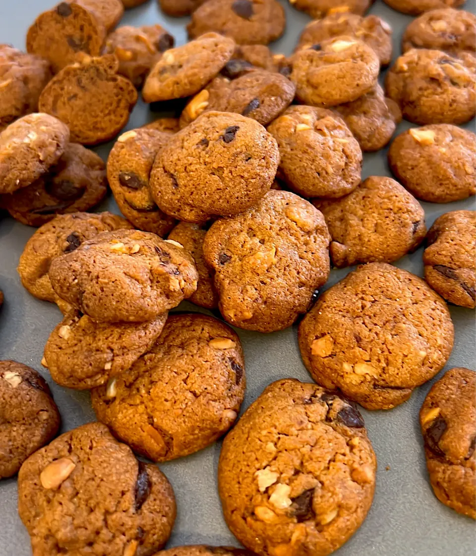 chocolate cookies|Yip Jennyさん
