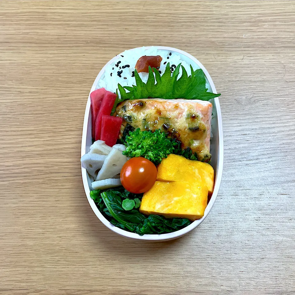 サーモンネギマヨのっけ弁当|sachi ＊さん