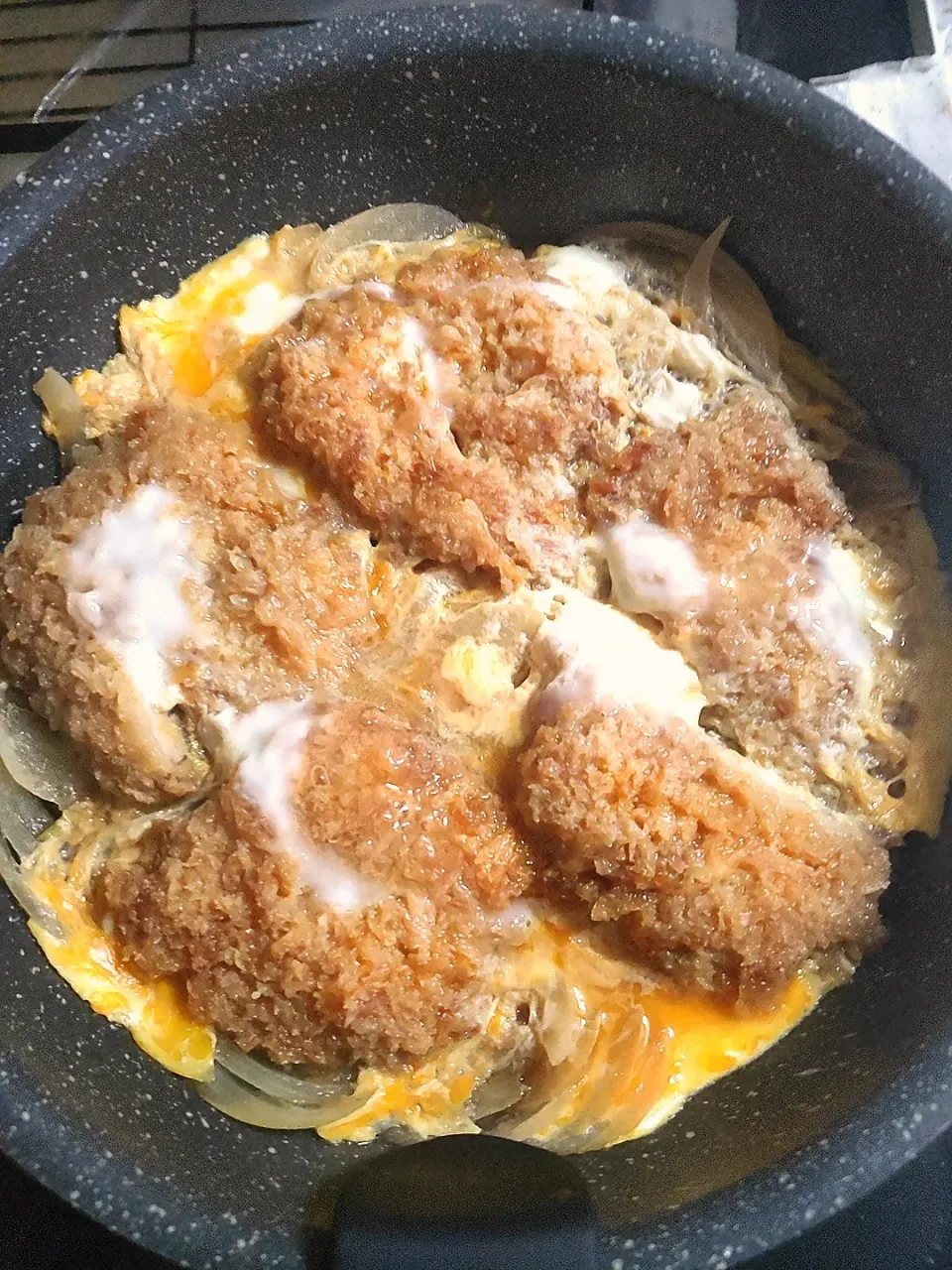 ヒレカツ丼|ふみくんさん