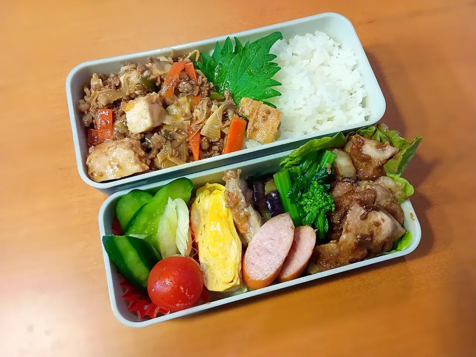 次男弁当🍱|tamagomagomagoさん