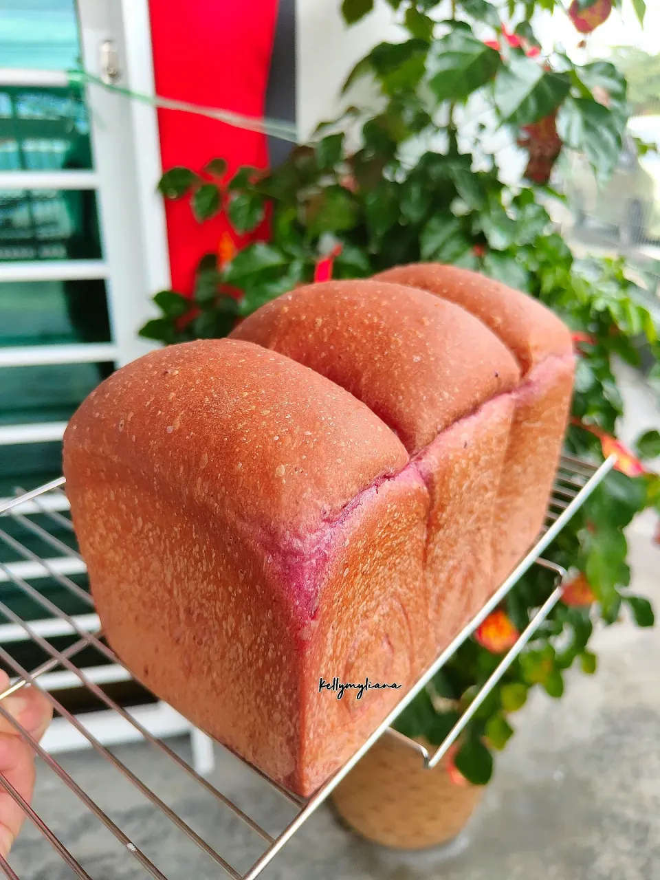 Yudane Purple Sweet Potato Bread🍞|kellymyliana_tew@yahoo.com.sgさん