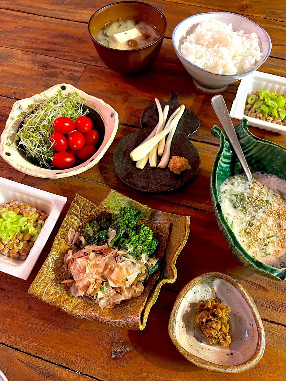 手作りフキ味噌　菜の花のからし和え　青じそとろろ　エシャロット　納豆　粕汁　サラダ|Nakaba Kobayashiさん