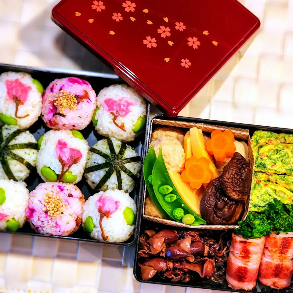 春のお弁当|ひかるさん