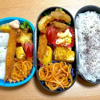 普通のお弁当|ユウガオさん