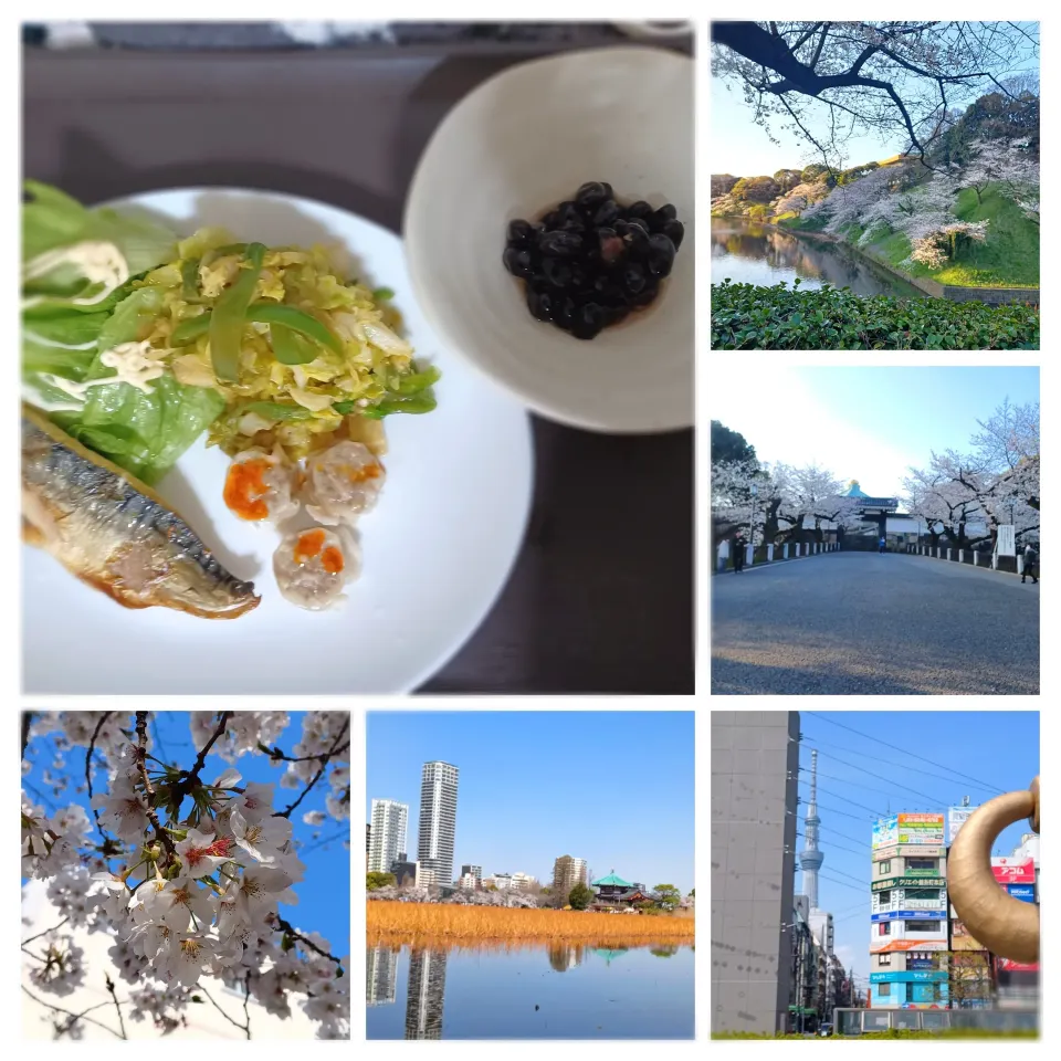 この前のごはんと今日のお花見🌸✨|ぽんすけさん
