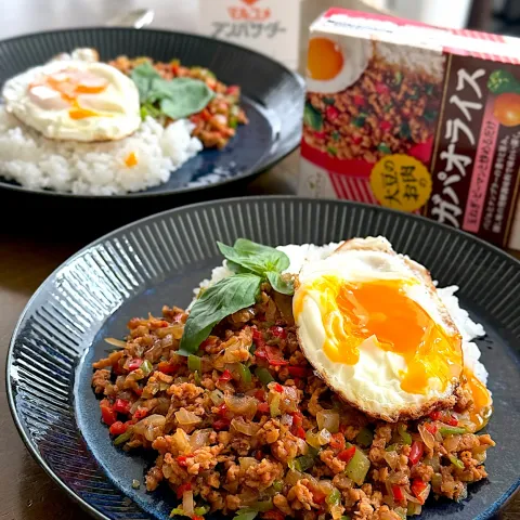 「大豆のお肉　ガパオライスの素」を使ってみたSnapdishの料理・レシピ写真:ダイズラボ　大豆のお肉のガパオライス