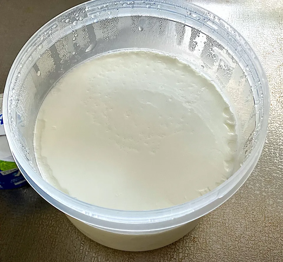 新 ストレスフリーの 手作りヨーグルト作成術|ななごさん
