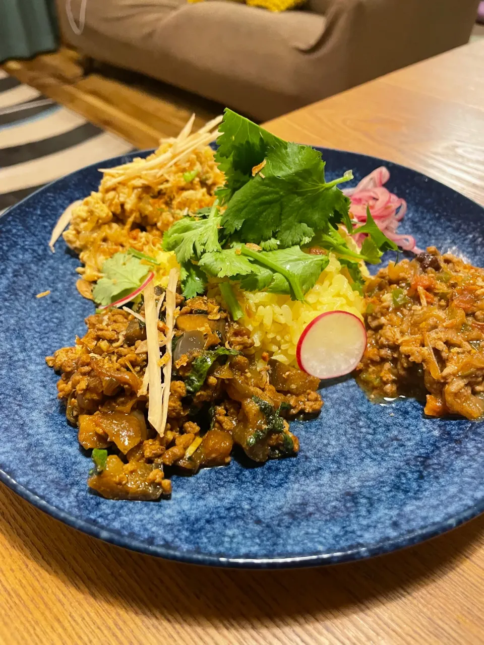 三種のキーマカレー|いがをさん