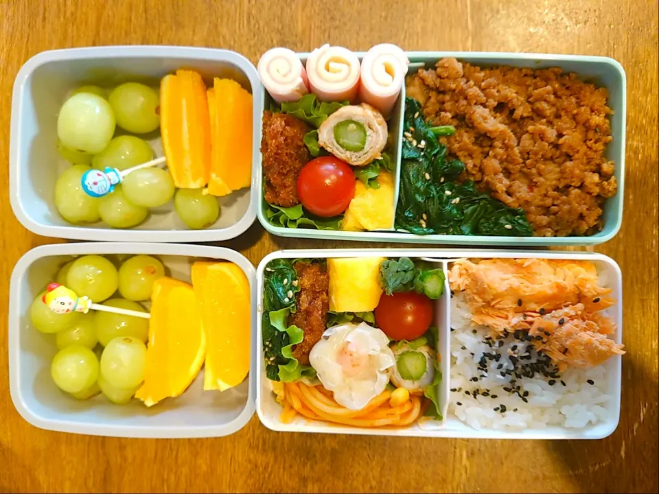 春のお弁当最終日|とまさん