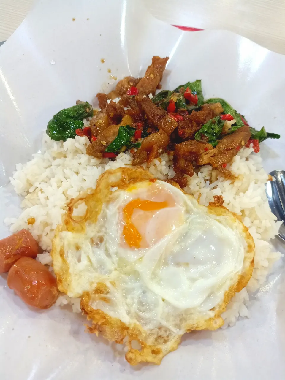 Pad Gaprao Moo Krob Plus Deep-fried Egg 🍚 🐷 🌶️ 🍳 
(ผัดกะเพราหมูกรอบ + ไข่ดาว)|An'leeさん