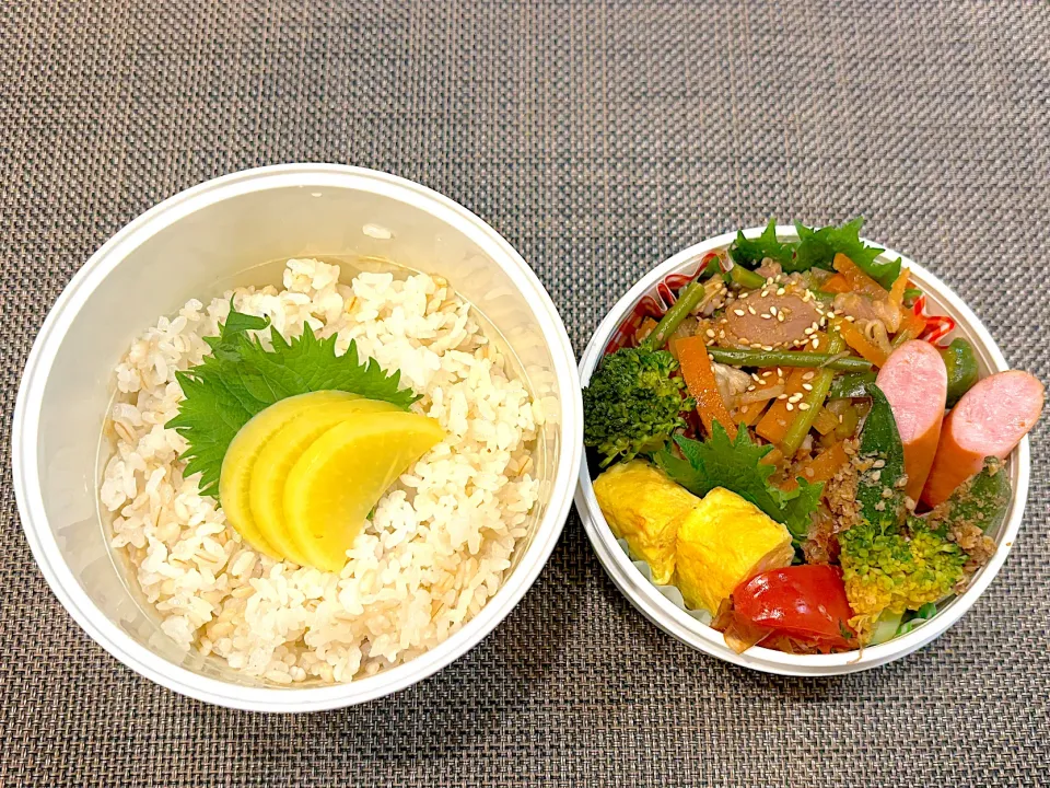 高校生息子のお弁当🍱 焼肉弁当🍱|Snow10さん