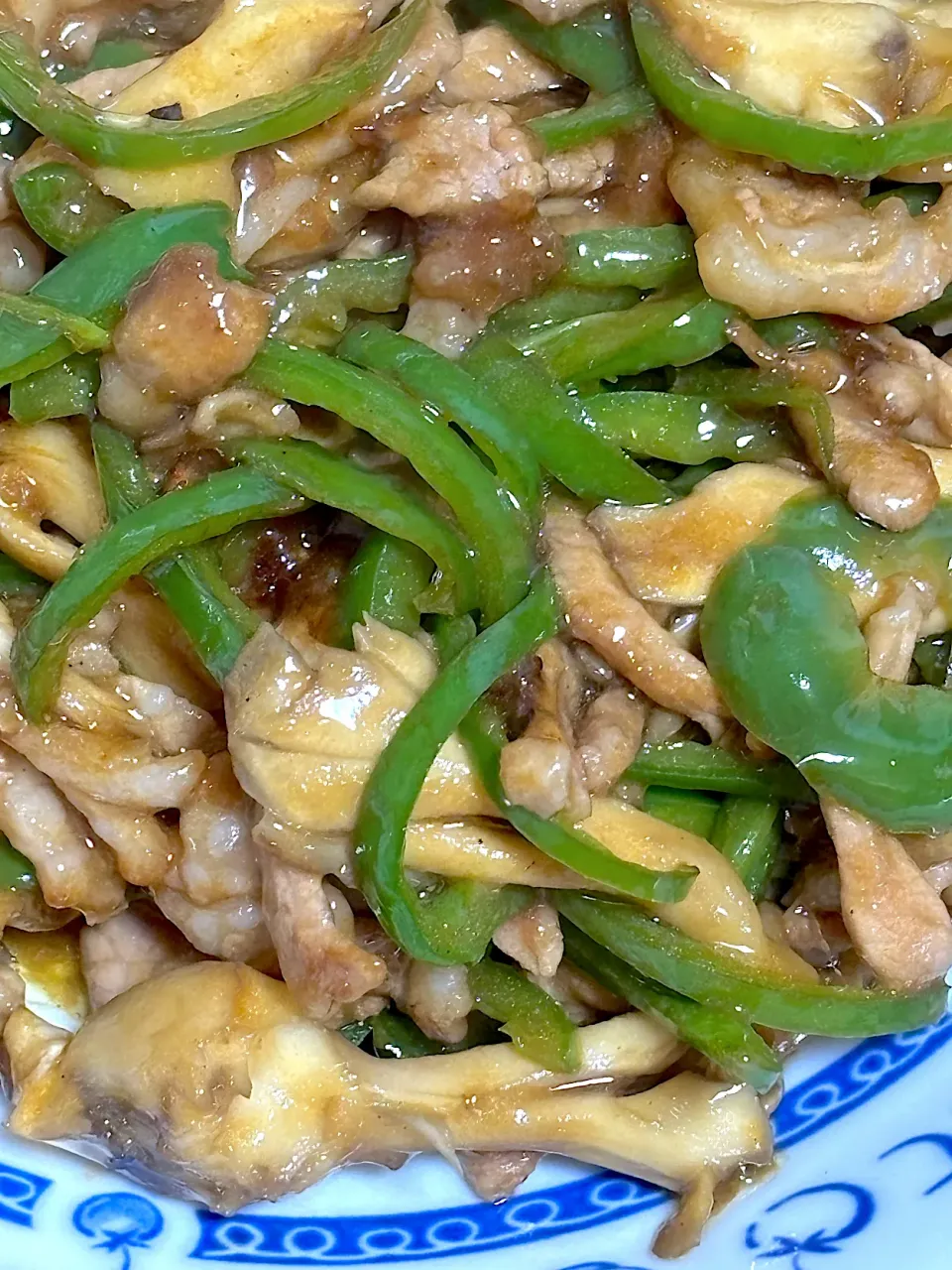 TOMOさんの料理 青椒肉絲|Makokoさん