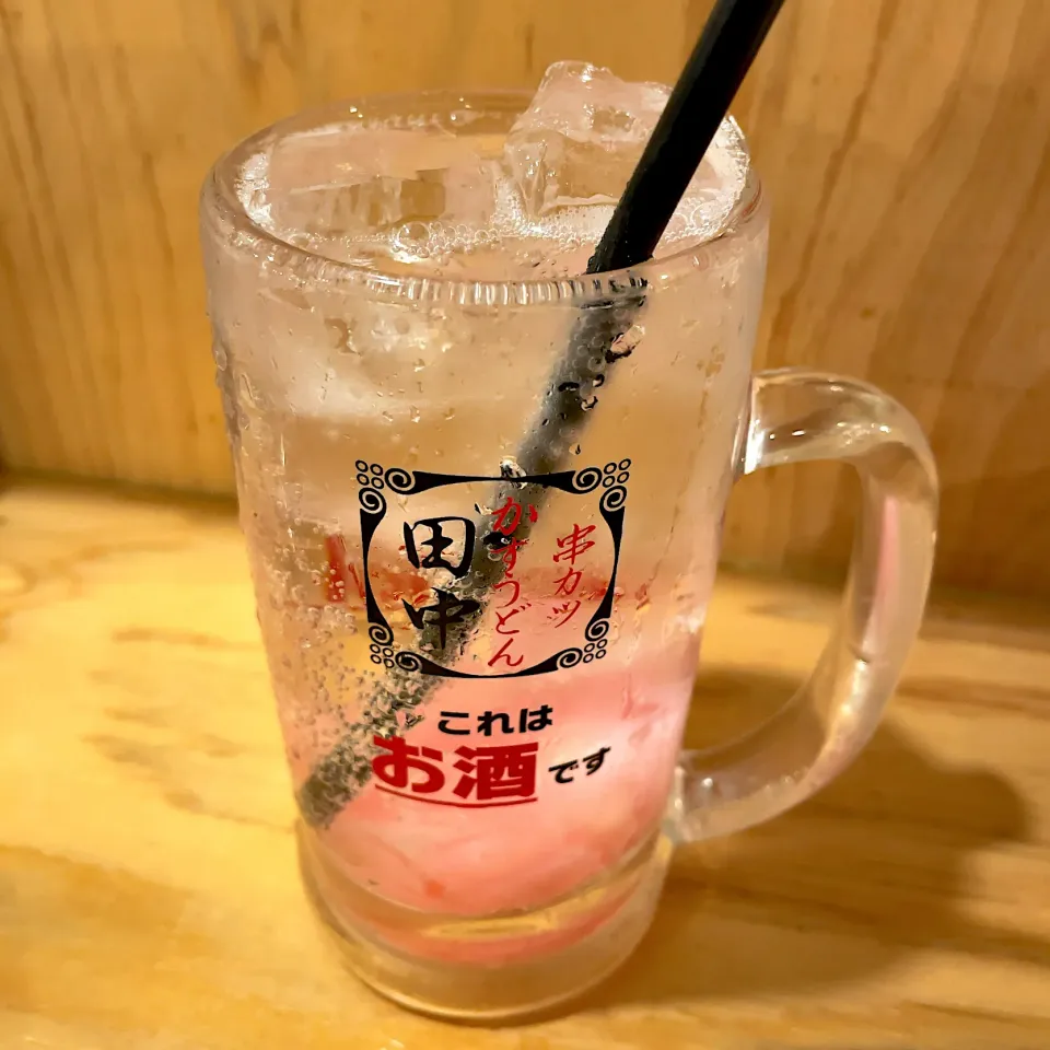 ガリ酎|T. Wonderさん