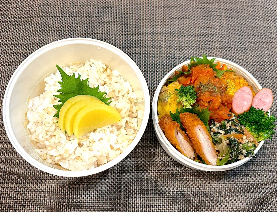 高校生息子のお弁当🍱 トマトソースオムレツ弁当🍱|Snow10さん