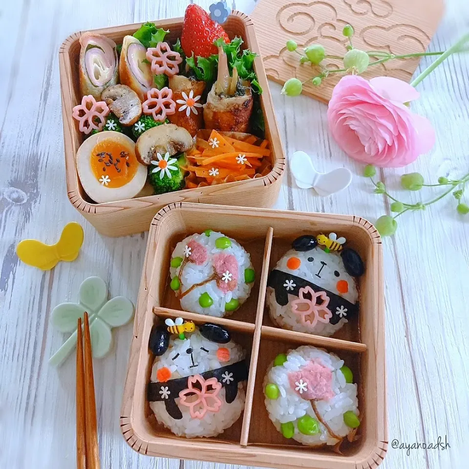 🌸🐼パンダと桜のおにぎり春弁当🌸|ayano.adshさん