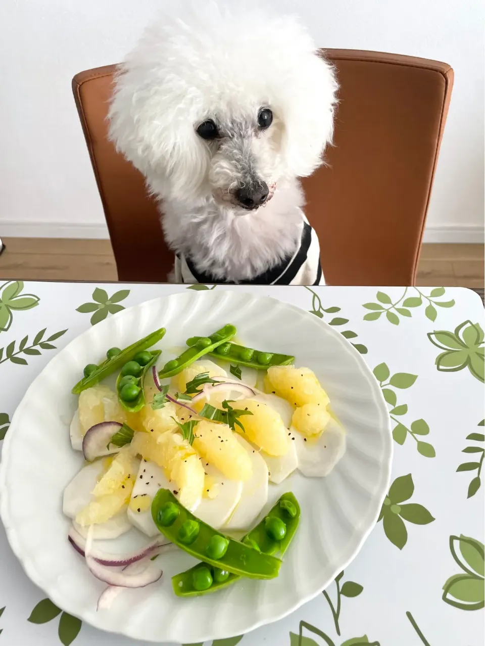 グレープフルーツの春色サラダ🥗|Ｌilicaさん
