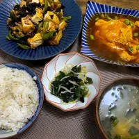 厚揚げ大豆ミートピーマン炒め　かに玉　もやしナムル　麦ご飯　味噌汁|♡misaki♡さん