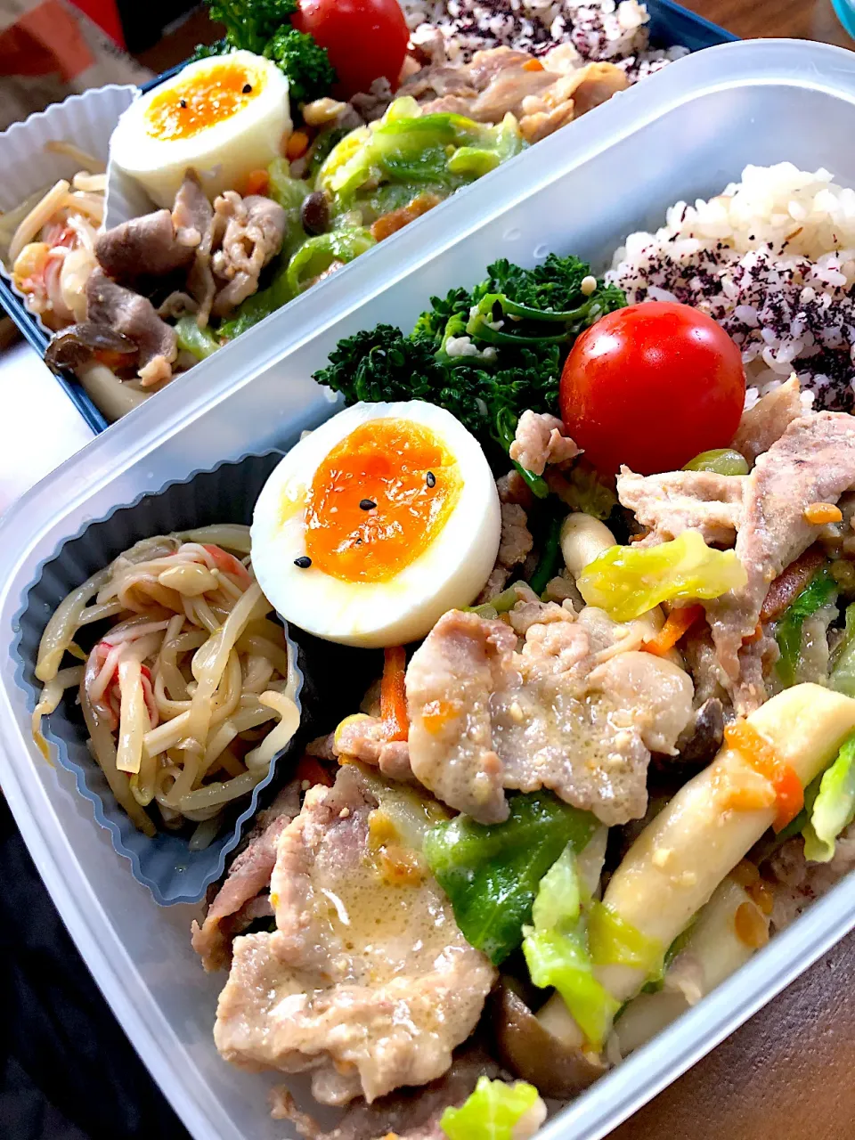 春キャベ豚こま味噌炒めのお弁当～みりん粕ペーストとお味噌で奥深まろやかぁ～|おなかさん