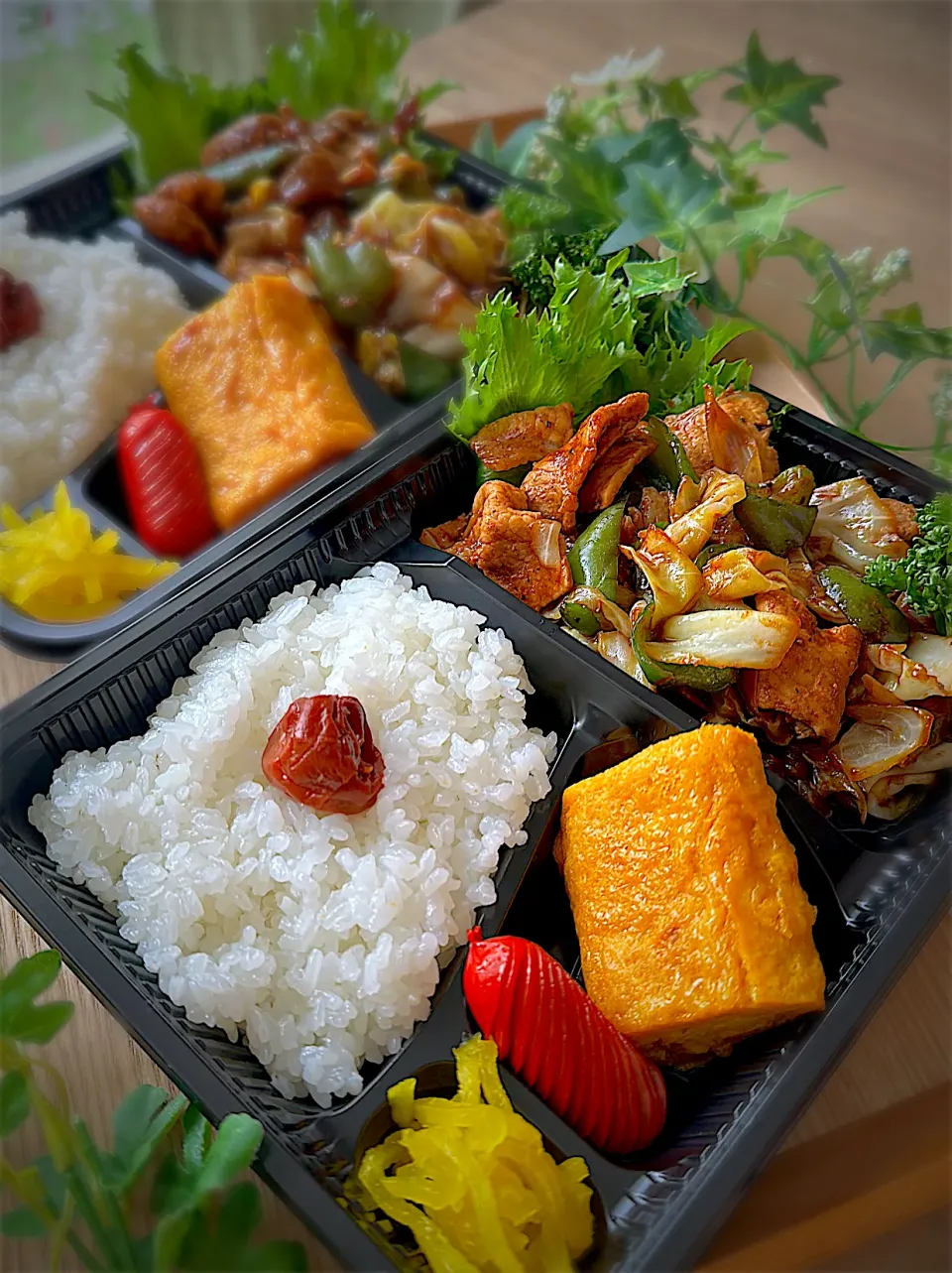 今日のお弁当🍱|みゆきさん