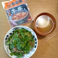 おうち吉野家でパクチーモリモリ牛丼|babyleafさん