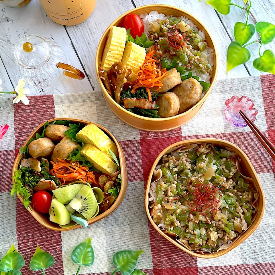 とりつくねとピーマン丼のお弁当|@panna_cotta.703さん