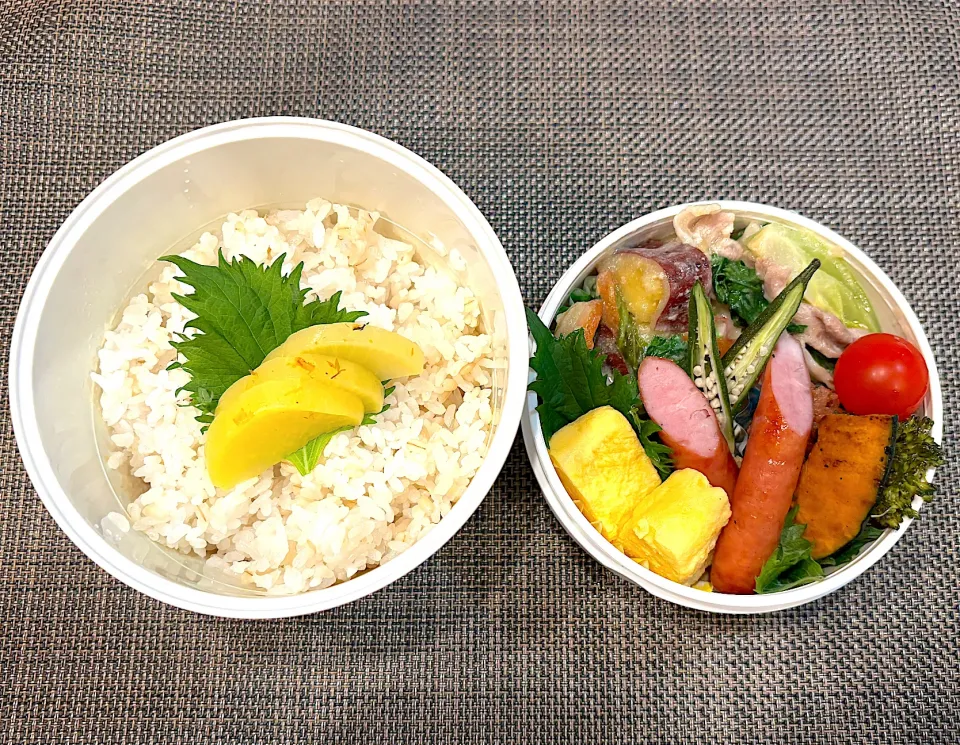 高校生息子のお弁当🍱 ちんげん菜と豚肉のクリーム煮弁当🍱|Snow10さん