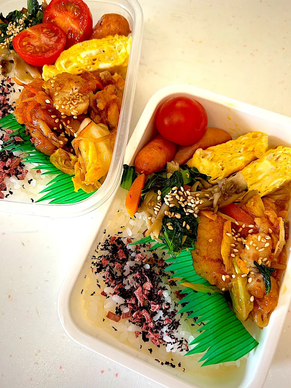 女子新入社員弁当|ぽててとさん