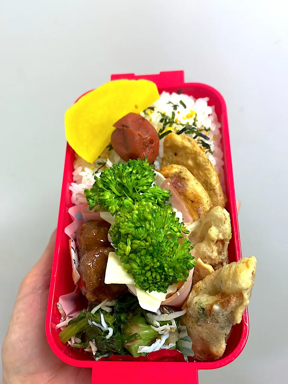 長女弁当🍱|しーちゃんさん