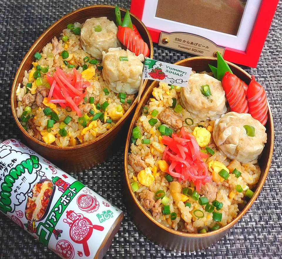 母とムスコのラブラブおソロ♪すげーおいしいじゃん!Yummyたけのこそぼろチャーハン弁当|からあげビールさん