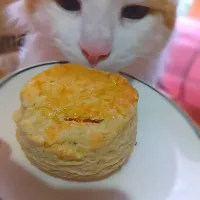 スコーン焼けました😺焼きたて美味しい🎵|さくらんぼさん