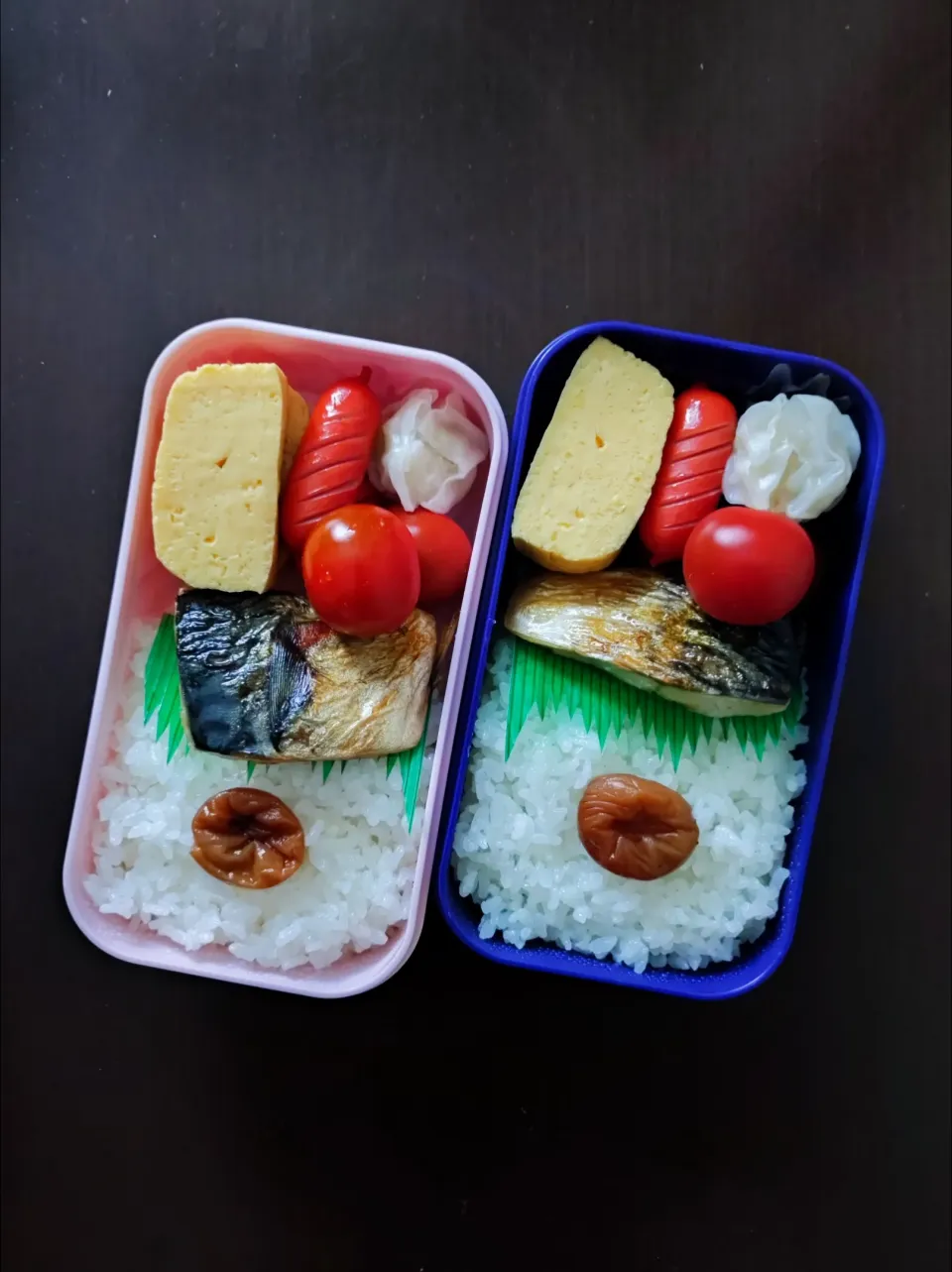 4/15ふたり弁当|YUKI_Jさん