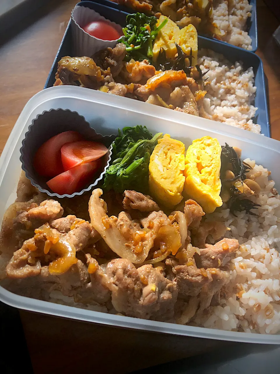 豚こまの発酵生姜焼き弁当‪☆節約～冷蔵庫に食材が何もありませんが体に良い物で満腹に🙏🏻🌟～|おなかさん