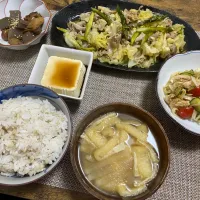 豚肉とキャベツとアスパラの塩だれ炒め　こんにゃくとちくわの煮物　新玉ねぎとトマトの和風サラダ　麦ご飯　味噌汁|♡misaki♡さん